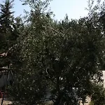 דירה Family Friendly Seaside - Mulo, Zadar - 6155 ורסי