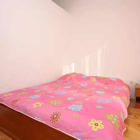 Family Friendly Seaside - Mulo, Zadar - 6155 ヴーシ