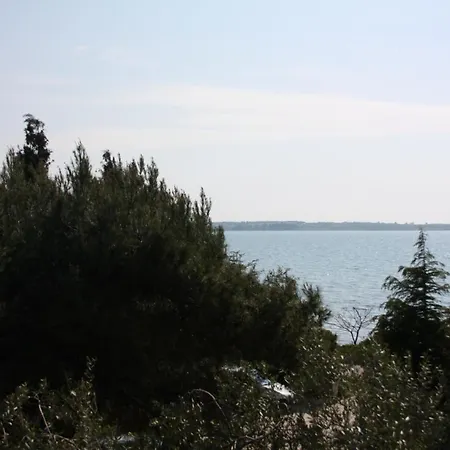 Family Friendly Seaside - Mulo, Zadar - 6155