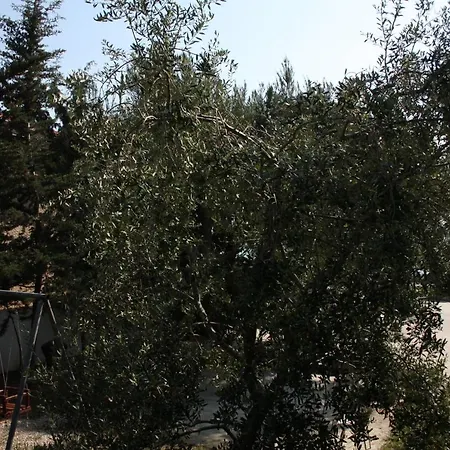 アパート Family Friendly Seaside - Mulo, Zadar - 6155 ヴーシ