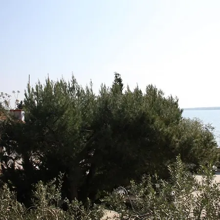 Family Friendly Seaside - Mulo, Zadar - 6155