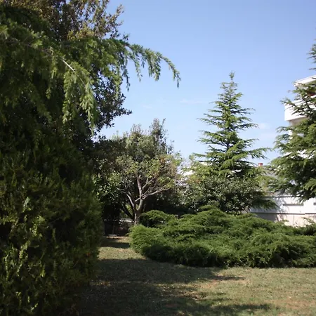 Family Friendly Seaside - Mulo, Zadar - 6155 Appartement Vrsi