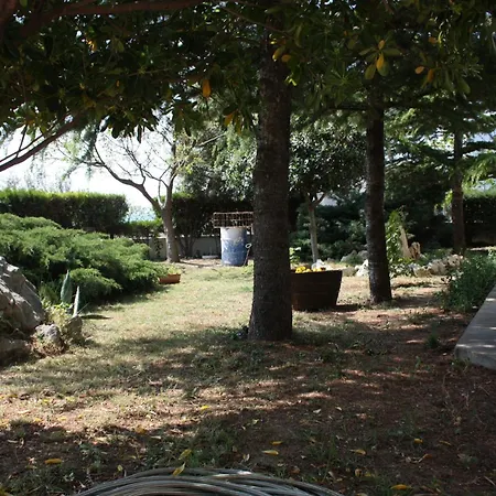 Family Friendly Seaside - Mulo, Zadar - 6155 דירה *