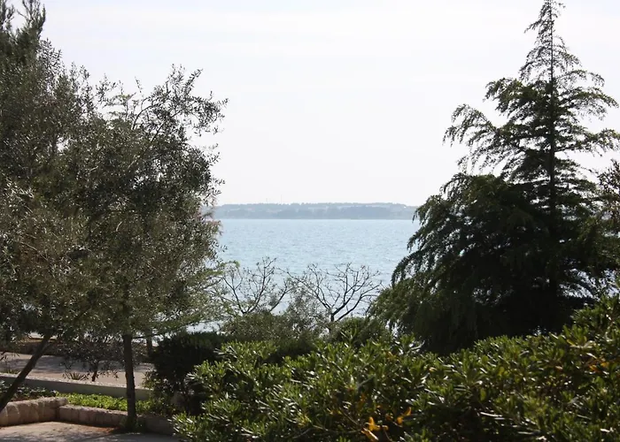 Family Friendly Seaside - Mulo, Zadar - 6155 Appartement *