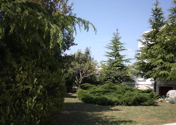 Family Friendly Seaside - Mulo, Zadar - 6155 Appartement Vrsi